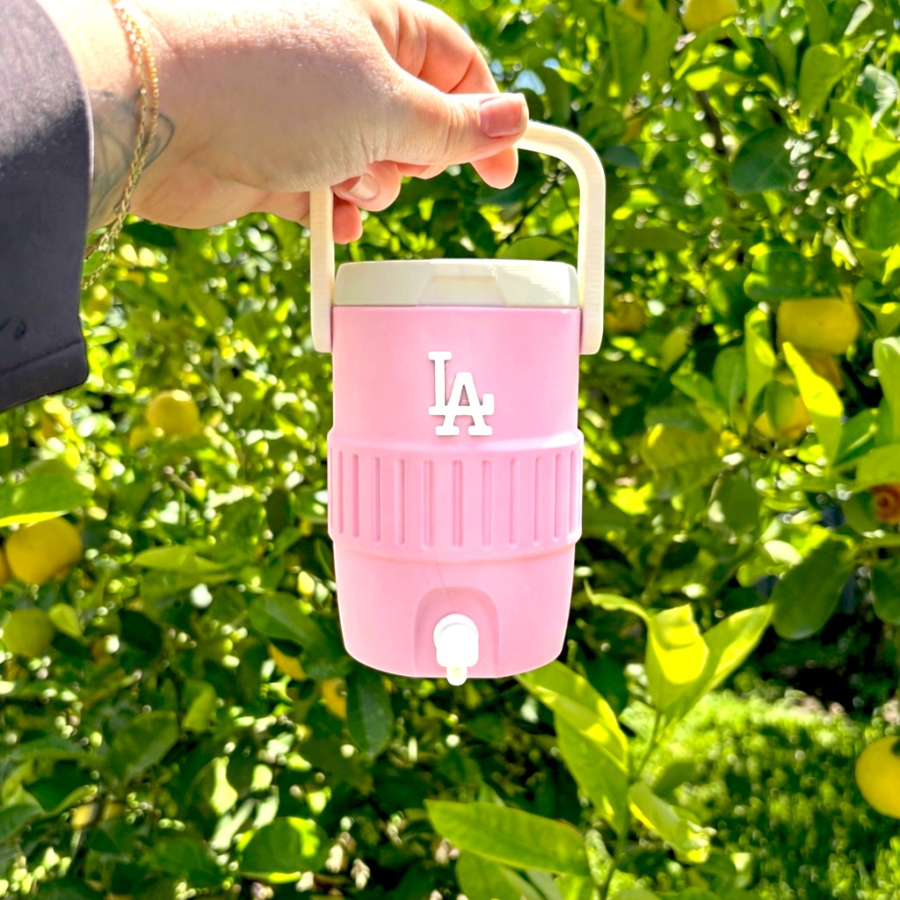 LA Inspired Water Cooler Can Koozie